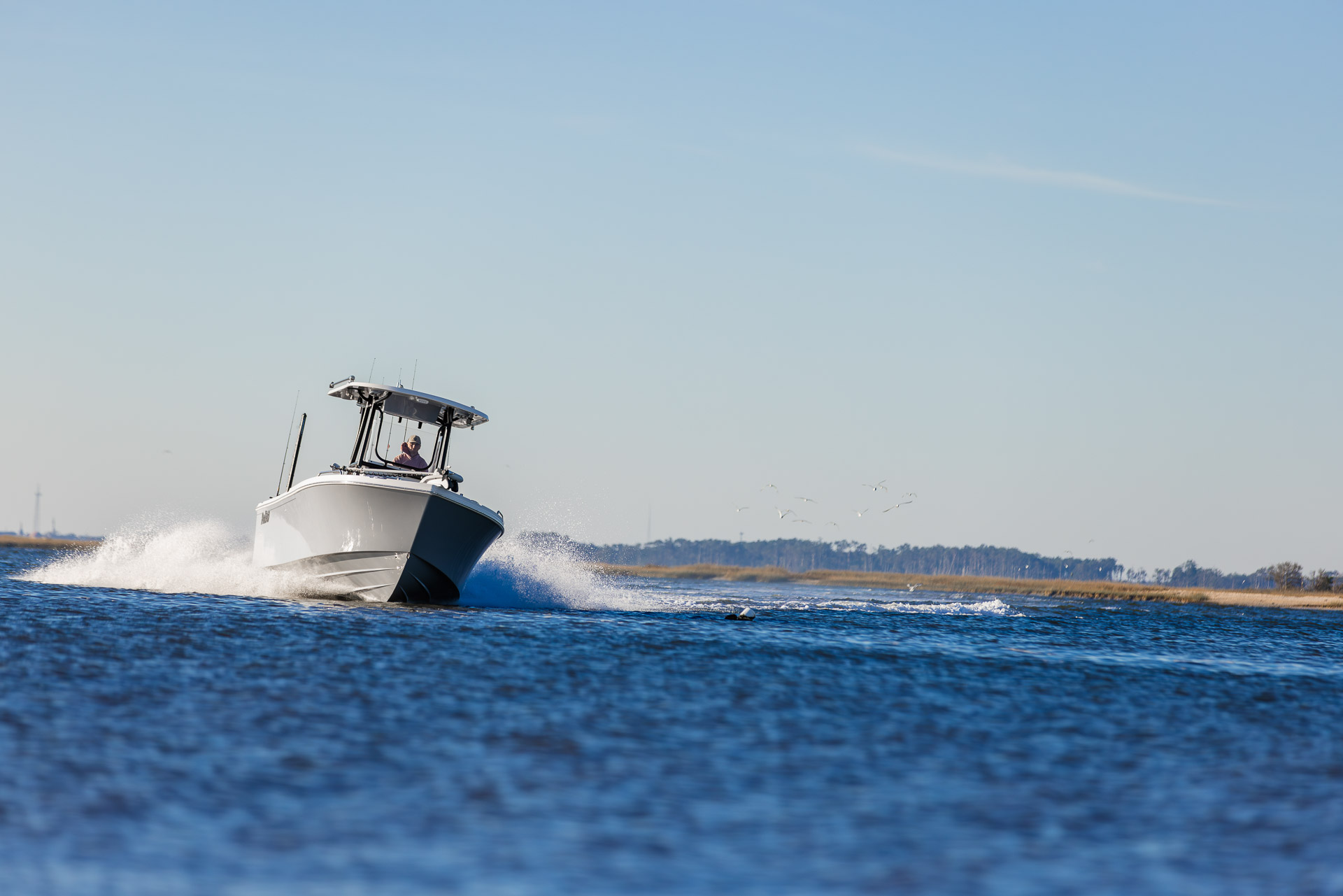 23SE - Special Edition Gallery Image